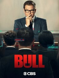 Bull