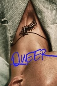 Queer VF